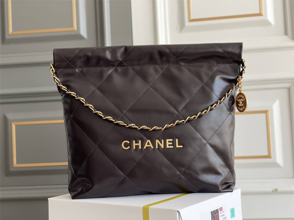 Chanel 22 bag 35cm small 2025 new 